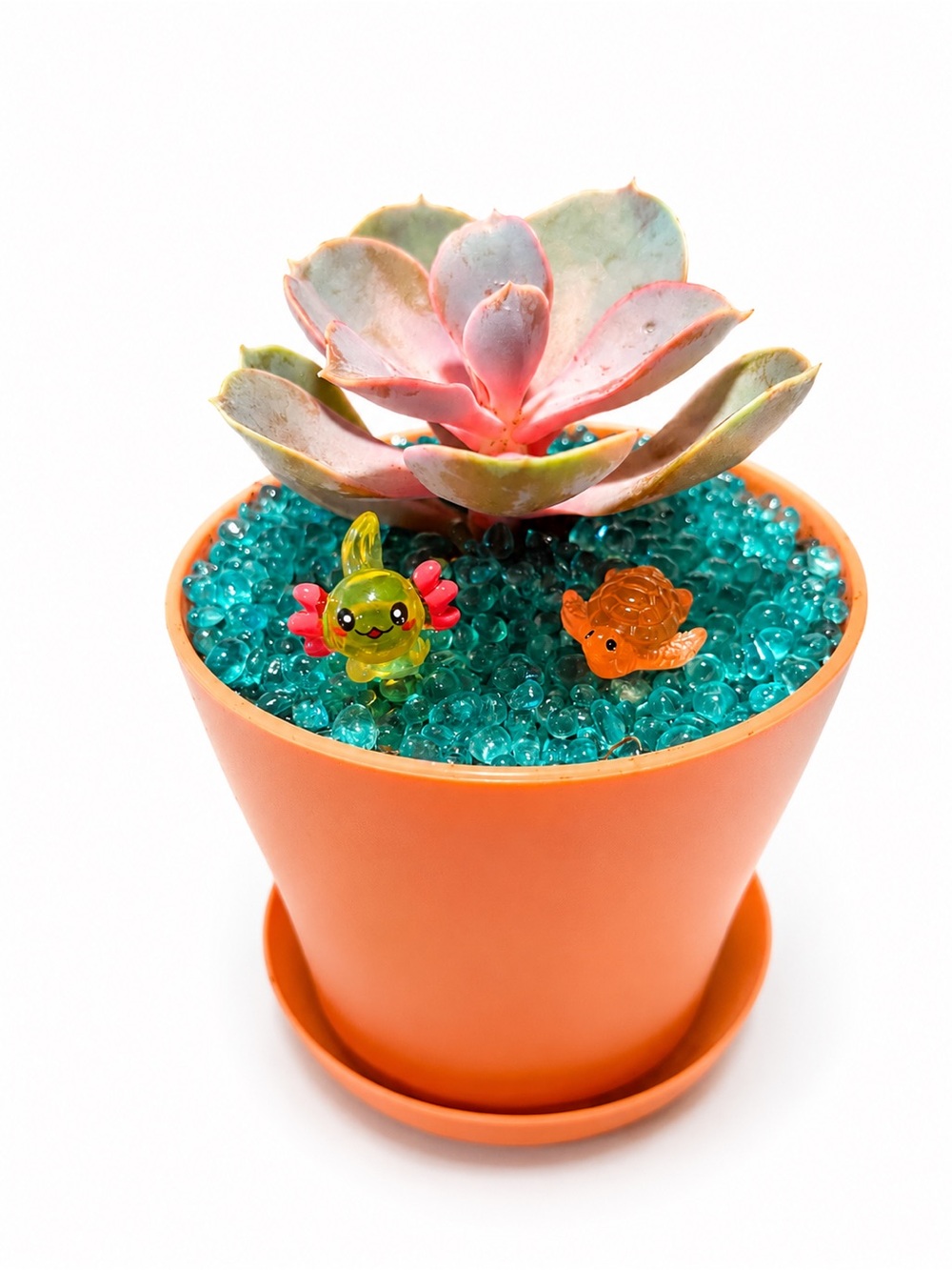 Pink-Green Succulent in Orange Pot with Teal Beads
